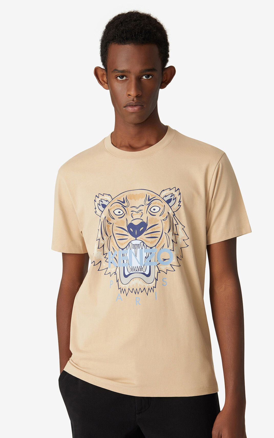 T Shirt Kenzo Tiger Homme Beige | SBQA-32897